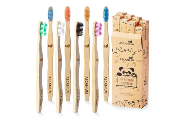 Free Bamboo Toothbrush