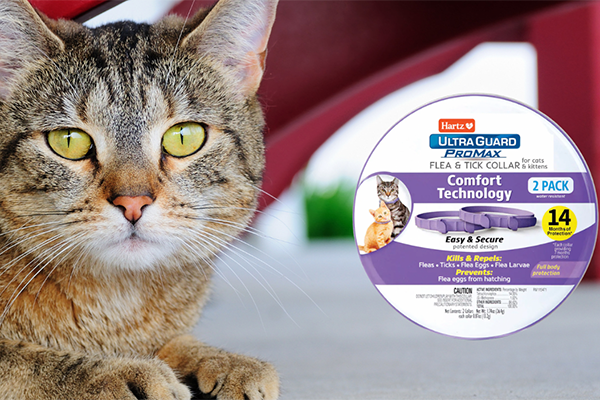 Free Hartz UltraGuard Flea Collar