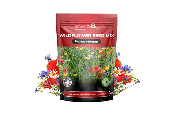 Free Wildflower Seeds - Free Stuff Frenzy | Freebies, Free Samples In ...