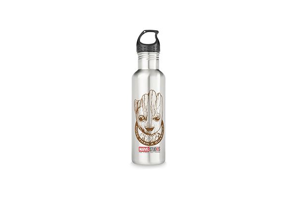 Free Groot Water Bottle
