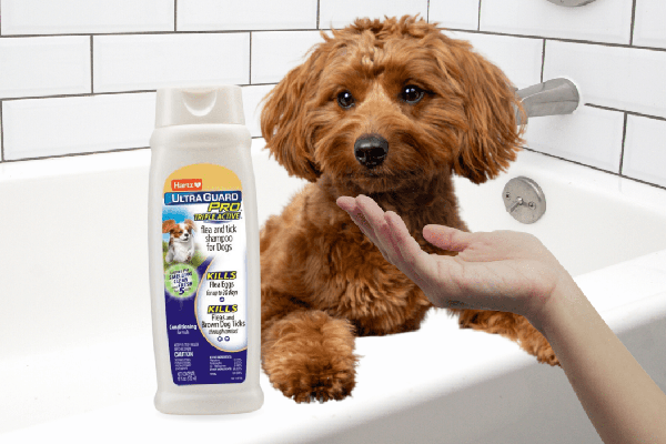 Free Hartz Dog Shampoo