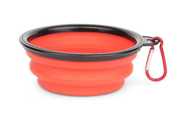 Free Purina® Collapsible Pet Bowl