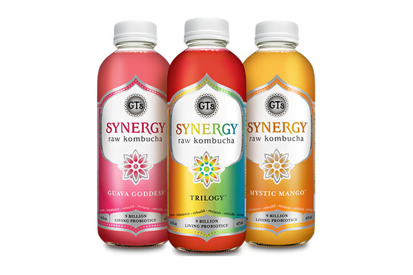 Free SYNERGY Kombucha Bottle