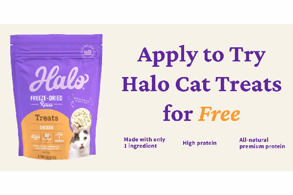 Free Halo Cat Treats