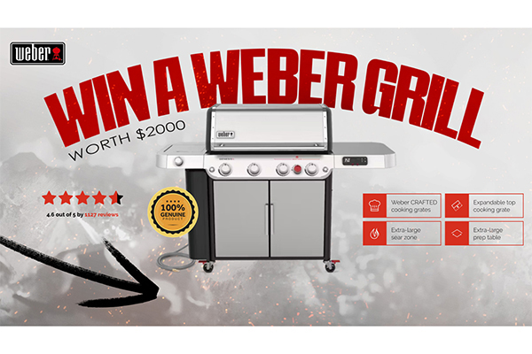 Free Weber Grill