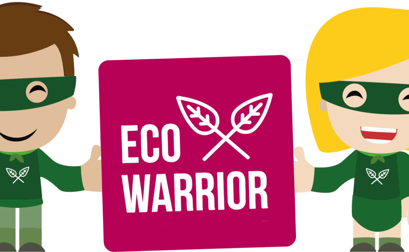 The Eco-Warrior’s Handbook: Mastering the Art of Getting Sustainable Free Stuff
