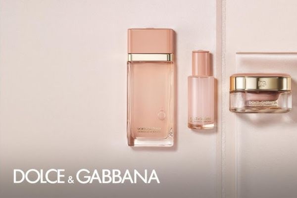 Free Dolce & Gabbana Fresh Skin Collection Sample