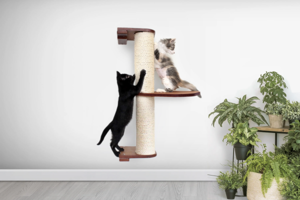 Free Catify Climb ‘n’ Scratch Post